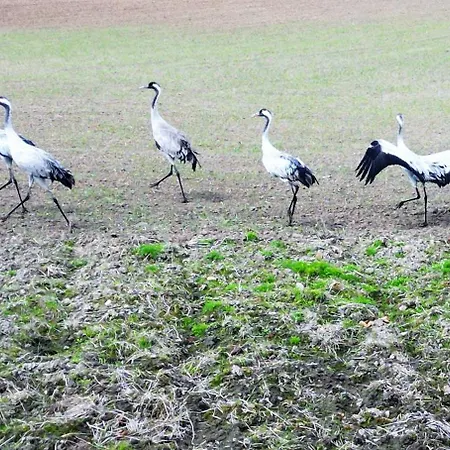 Park View - Przy Plazy, Parking, Tv55